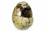Septarian Dragon Egg Geode - Sparkly Black Crystals #364459-1